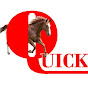 THE QUICK GALLOPER 