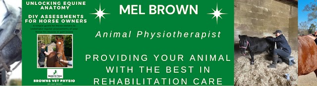 Browns Vet Physio - Mel Brown