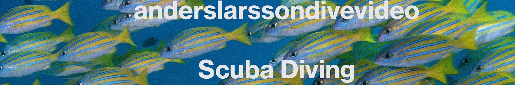 anderslarssondivevideo