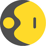 WION Logo