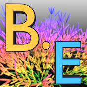 Branch Education en Español