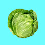 Cabbage