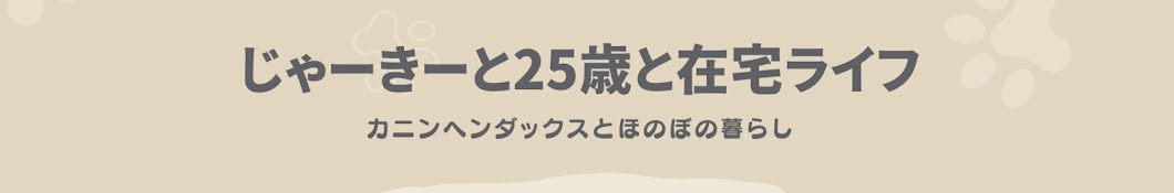 極小ダックスのいる暮らし🐾じゃーきー