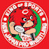 Hiroshima Carp Compilation Blog Carp_buun