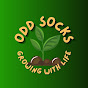 Odd Socks Growing 