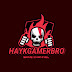 logo HaykGamerBro