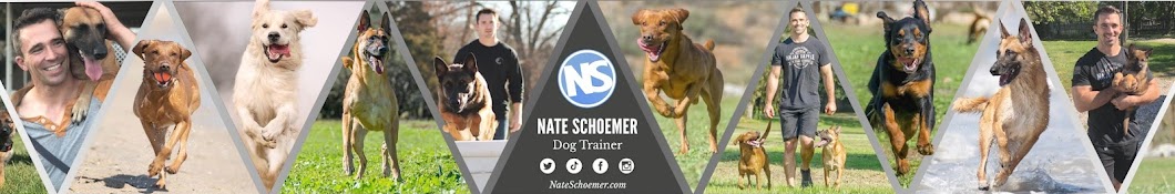 Nate Schoemer Banner