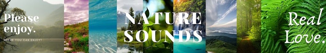 Nature Sounds | أصوات الطبيعة