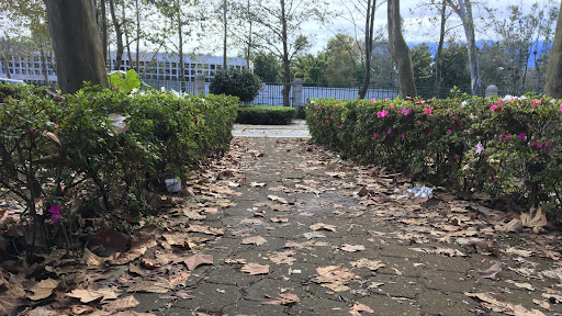 Kanal kapak resmi