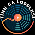 logo Tình Ca Lossless