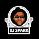 DJ SPARK VEVO