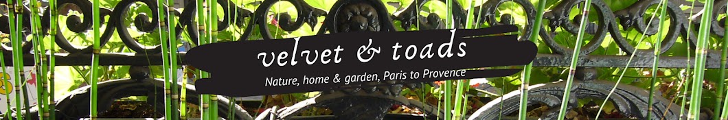 Velvet & Toads Everyday French Living Banner