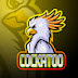 scruffy_cockatoo