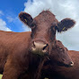 Bedrule Farm in Scotland