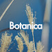 Botanica
