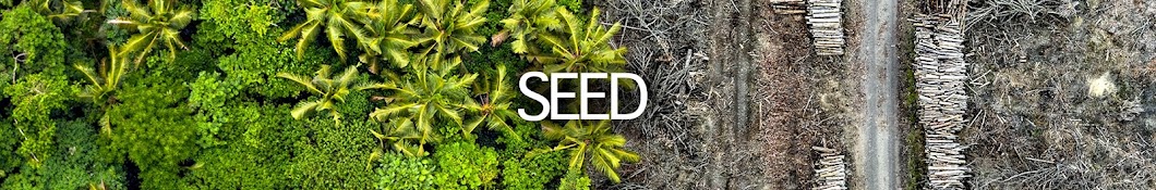 Seed