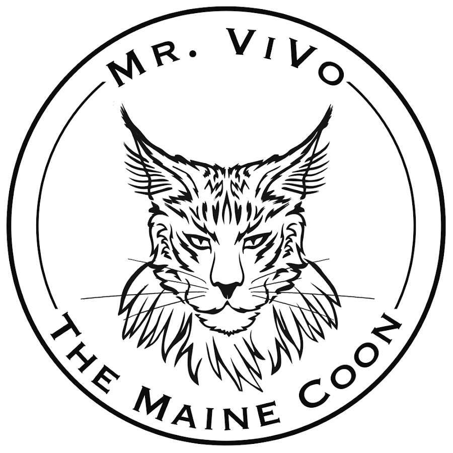 Mr. ViVo 