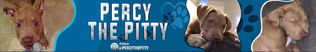 Percy The Pitbull Banner