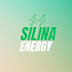 logo Silina | Affirmations & Laws