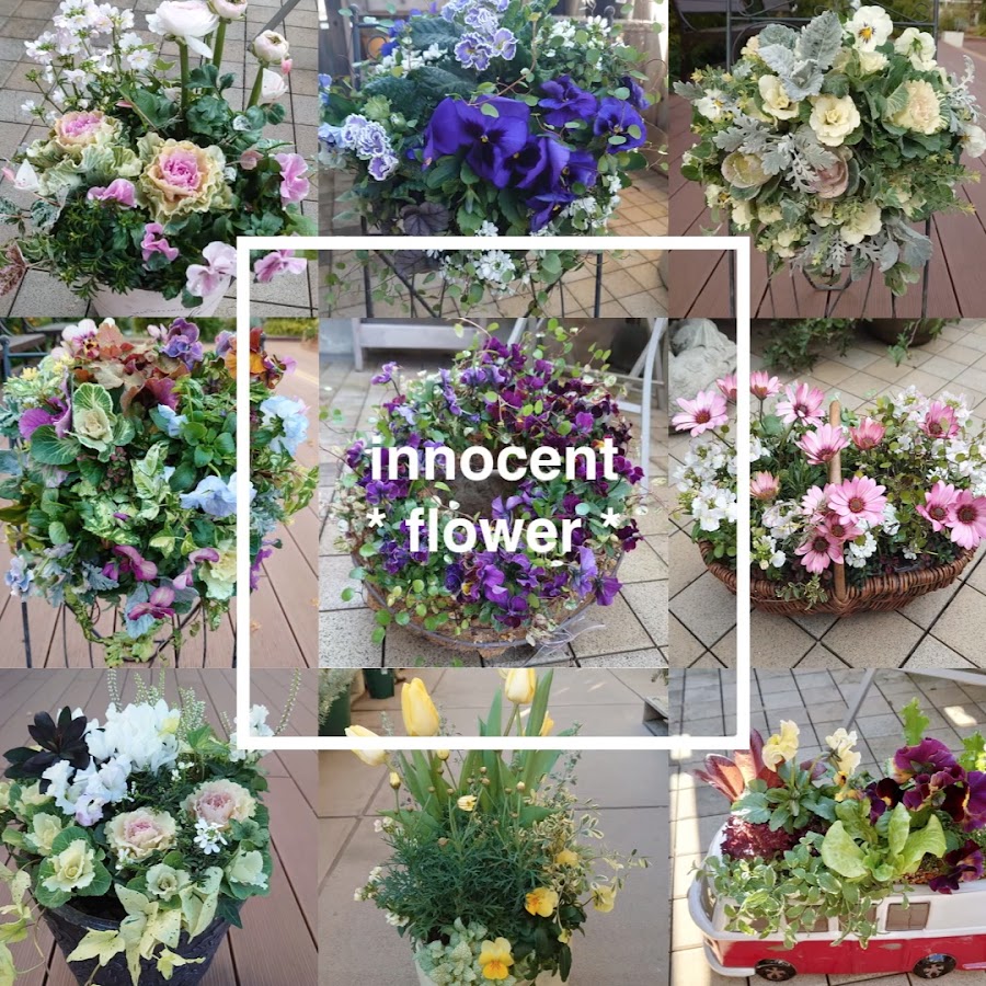 innocent flower->全般的なフィードバック