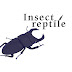 인섹트렙타일INSECTREPTILE