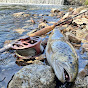 a novice Fly Fisher in Slovakia