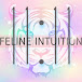 Feline Intuition 11:11