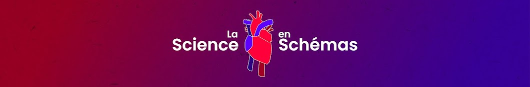 La Science En Schémas