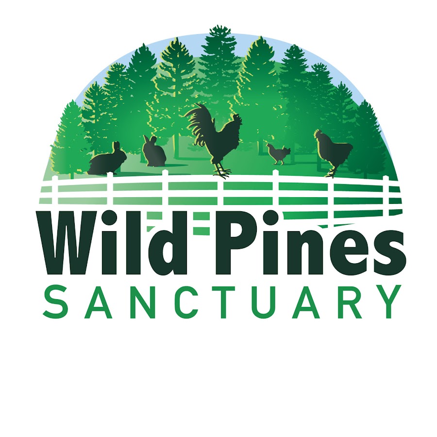 Wild Pines Sanctuary