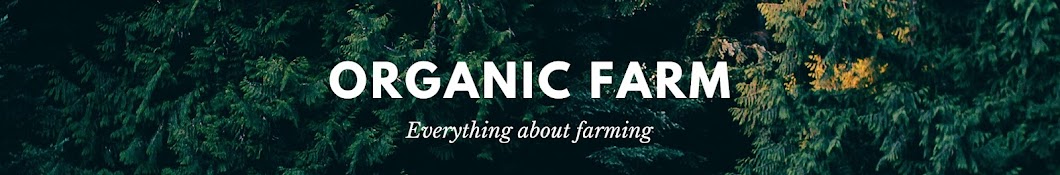 오가닉팜 Organic Farm