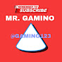 MR. GAMINO