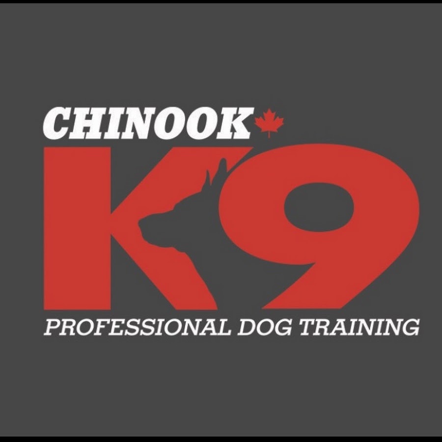 Chinook K9 Dog Training & Behavior - YouTube