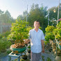 tai huynh Bonsai