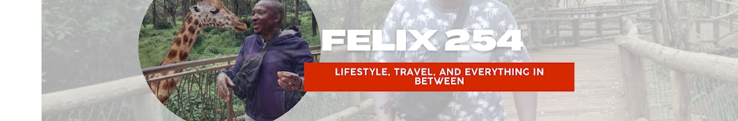 FELIX 254 