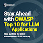 OWASP Top 10 For Large Language Model Applications