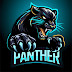 Panther WR