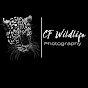 CF Wildlifephotography