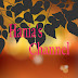 Hania's Channel