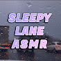 💤 Sleepy Lane ASMR 💤