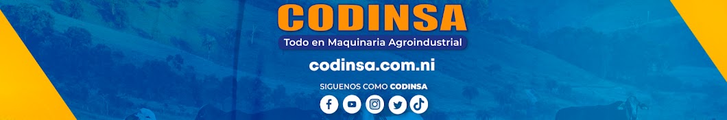 CODINSA Nicaragua - Costa Rica. Banner