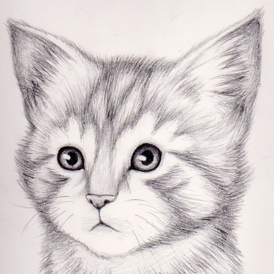 Котенок рисунок