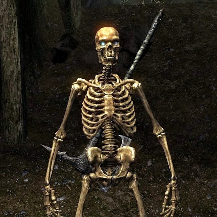 Skeleton meme