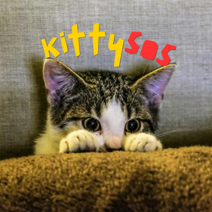 KittySOS