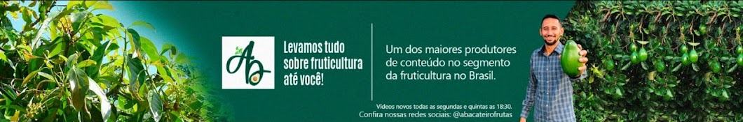 Abacateiro Frutas e Mudas