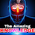 logo The Amazing KNOWLEDGE