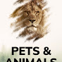 Pets Animals TV