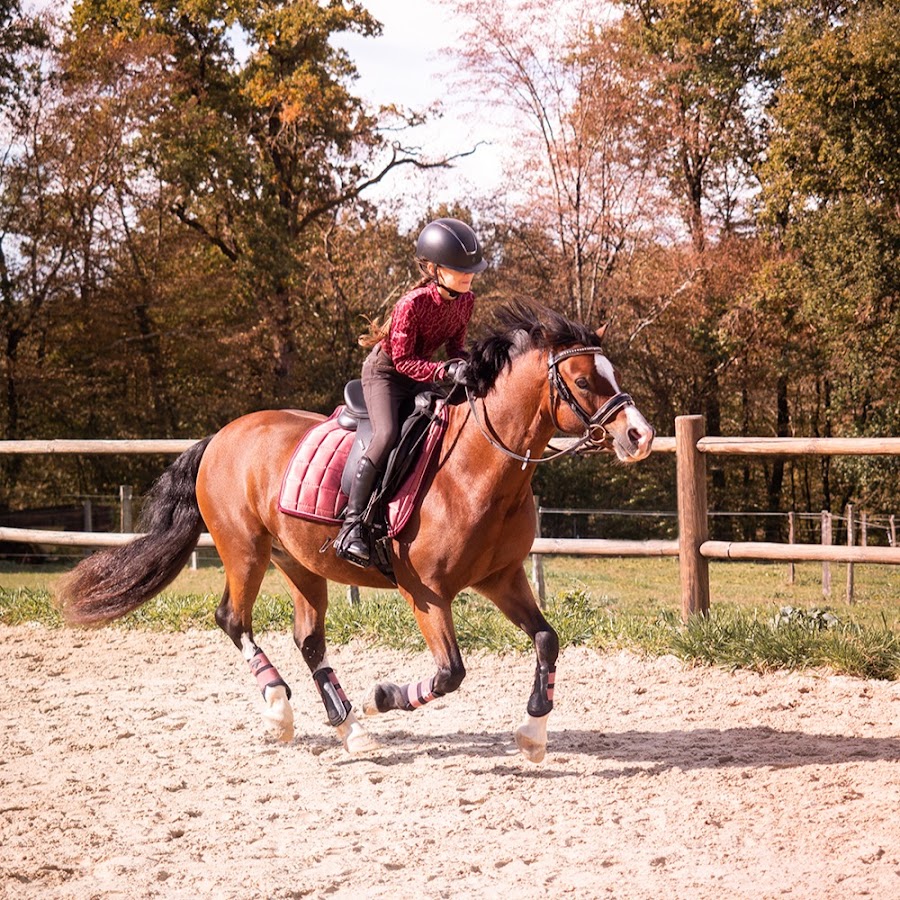 Céleste & Pride - My Wonderful Pony Adventure - YouTube