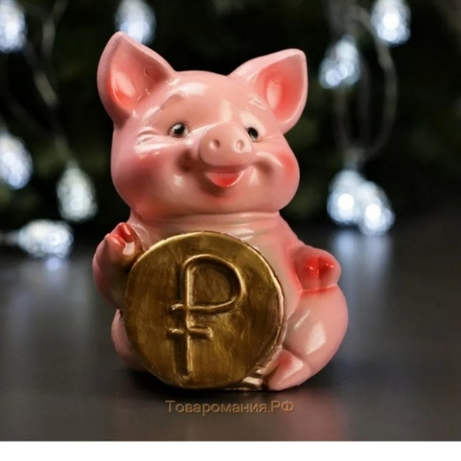 Piggy bank свиньи. Свинья-копилка. Хрюшка-копилка. Копилка «поросенок». Монета со свиньей.