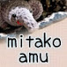 mitako_amu