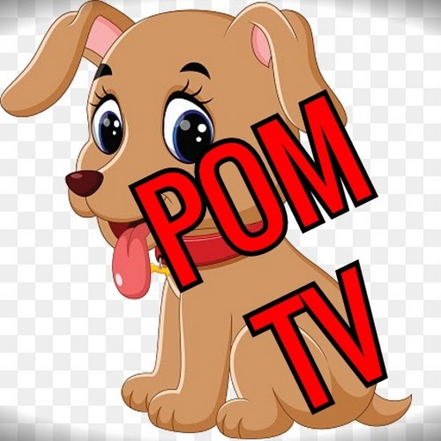pom Tv Love dog & (vlog)